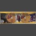 THE ROLLING STONES Live in Barcelona 2017 No Filter Tour 2CD set